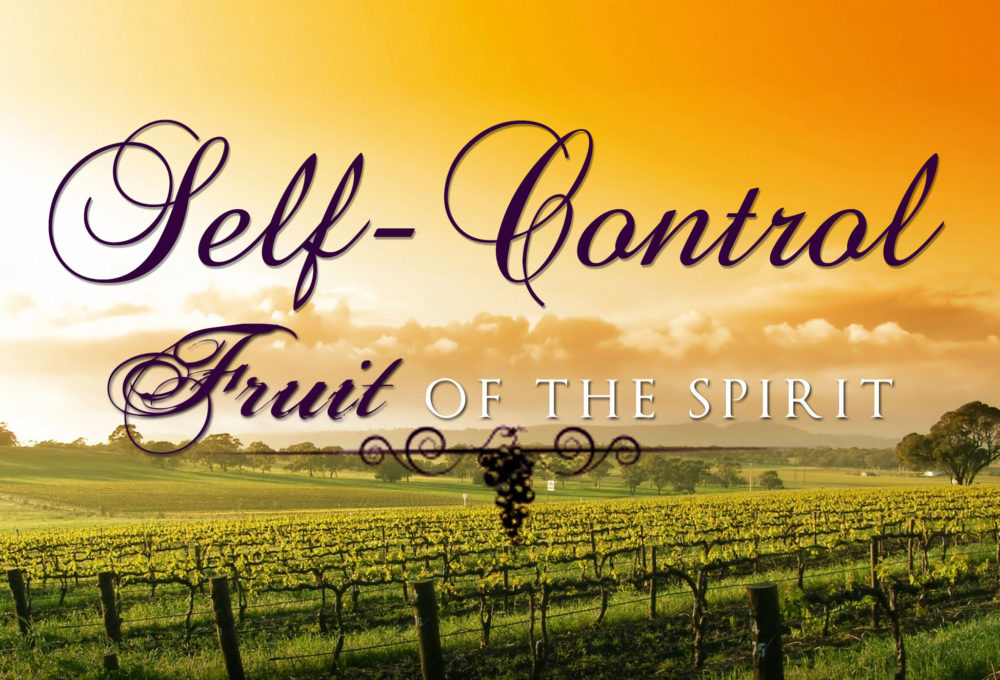 Fruit of the Spirit: Self-Control Image