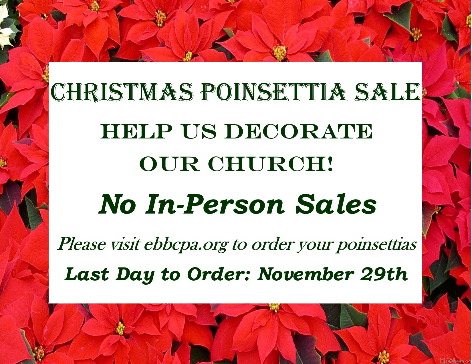 Poinsettias 2020